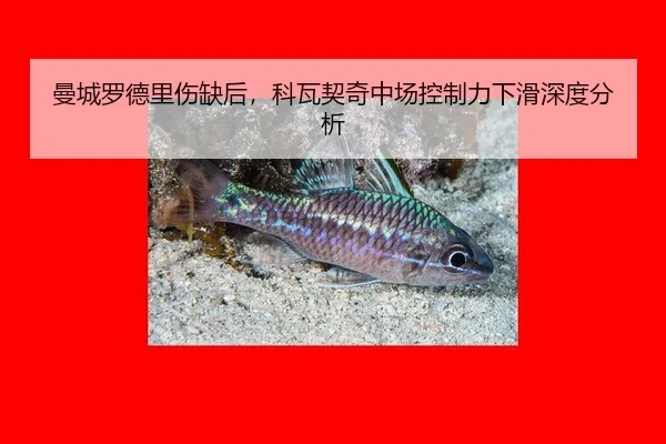 man-cheng-luo-de-li-shang-que-hou-ke-wa-qi-qi-zhong-chang-kong-zhi-li-xia-hua-shen-du-fen-xi-3-502.jpg