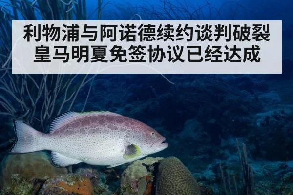 利物浦与阿诺德续约谈判破裂皇马明夏免签协议已经达成